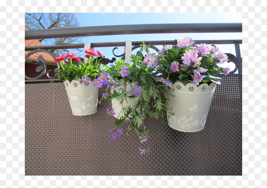 Artificial Flower, HD Png Download - flower box png