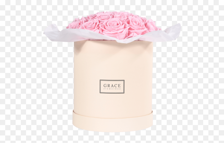 Garden Roses, HD Png Download - flower box png