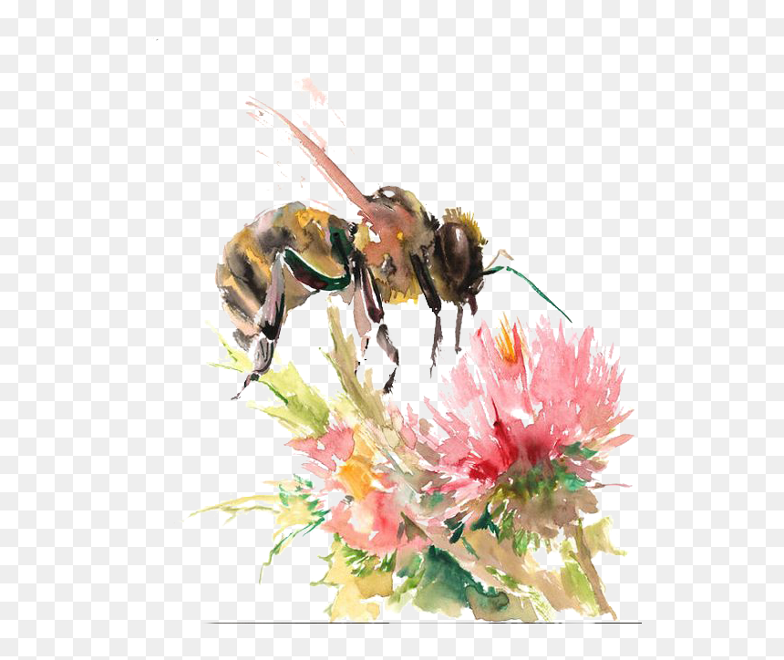 Bee On Flower Drawing, HD Png Download - honey bees png