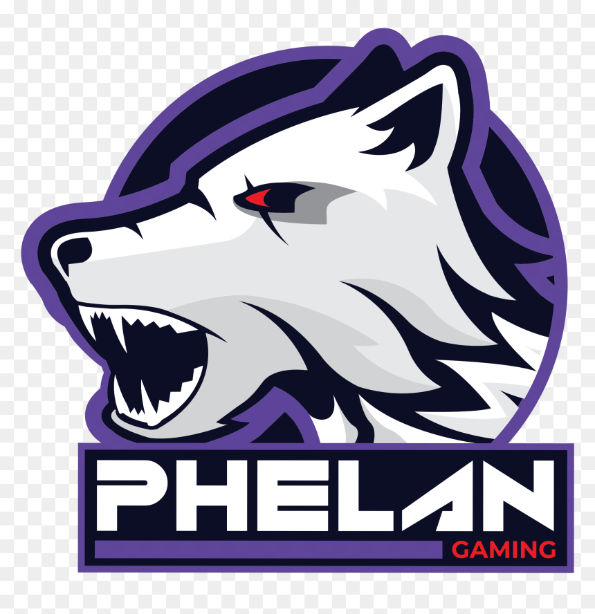 Phelan Gaming, HD Png Download - fnatic png