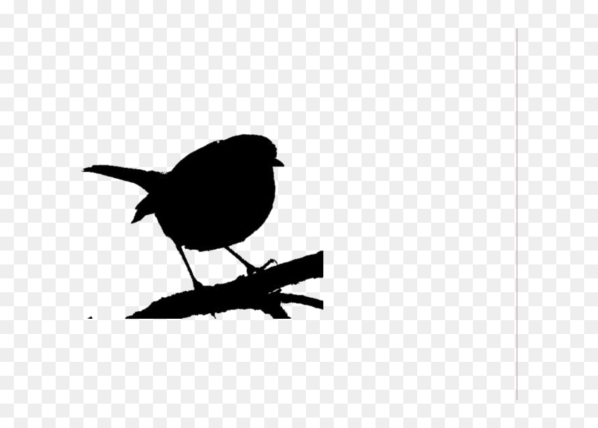 Wren, HD Png Download - white bird png