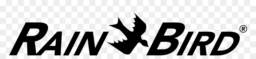 Graphics, HD Png Download - white bird png