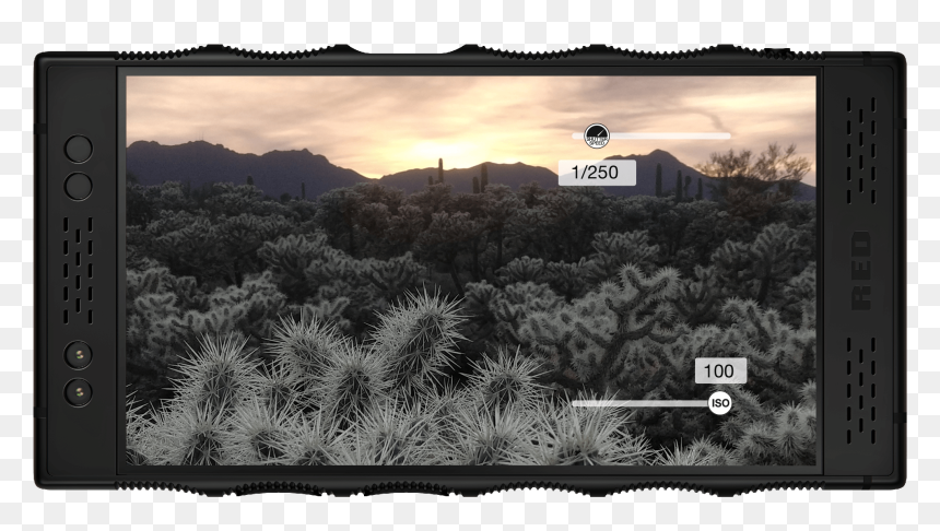 Picture Frame, HD Png Download - red phone png