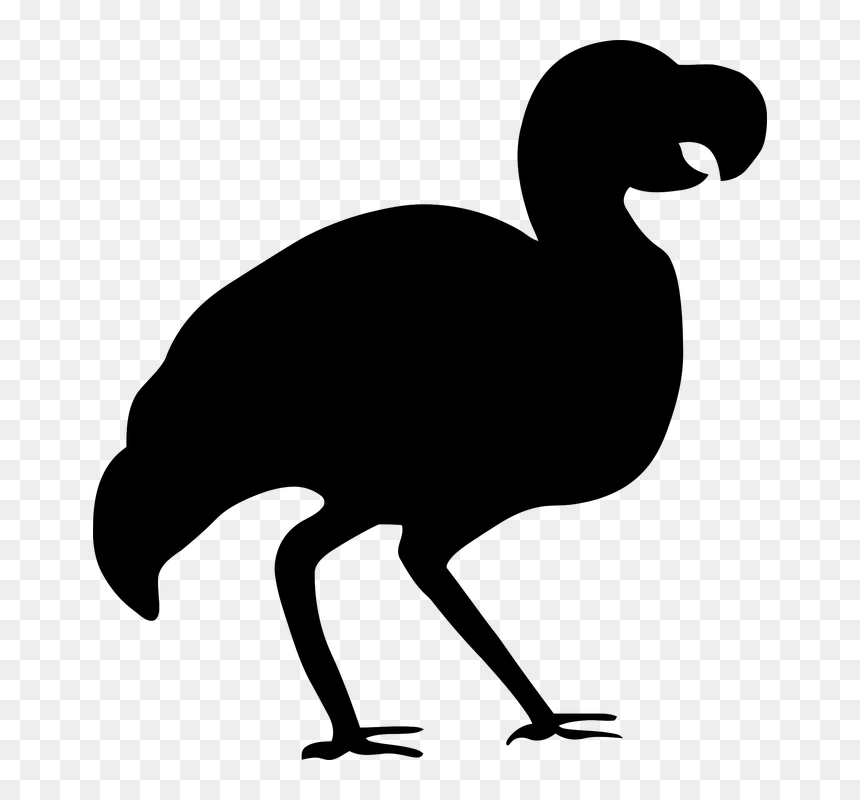 Dodo Bird Silhouette, HD Png Download - dodo bird png