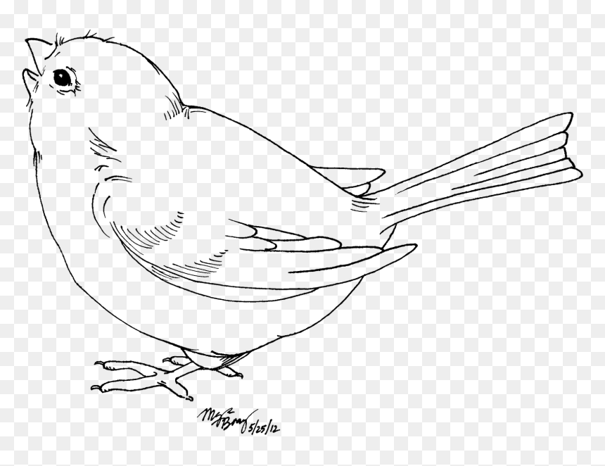 Baby Bird Clipart Black And White, HD Png Download - dodo bird png