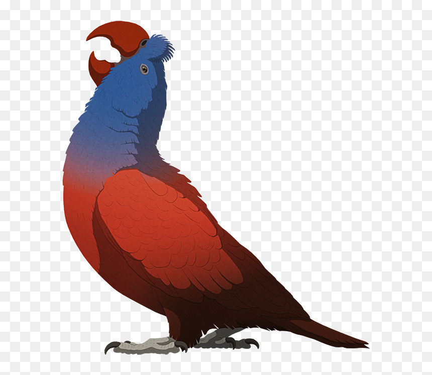 Parrot, HD Png Download - dodo bird png