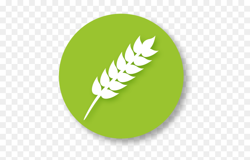 University Of Hertfordshire Food Research Theme, HD Png Download - agriculture icon png