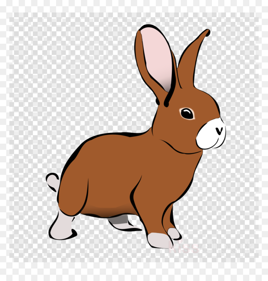 Chat Icon Transparent Background, HD Png Download - bunny rabbit png