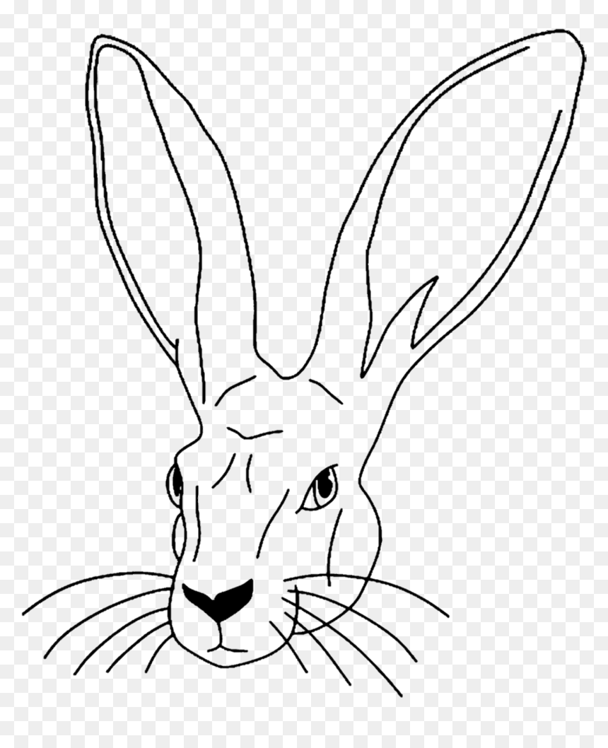 Domestic Rabbit, HD Png Download - bunny rabbit png