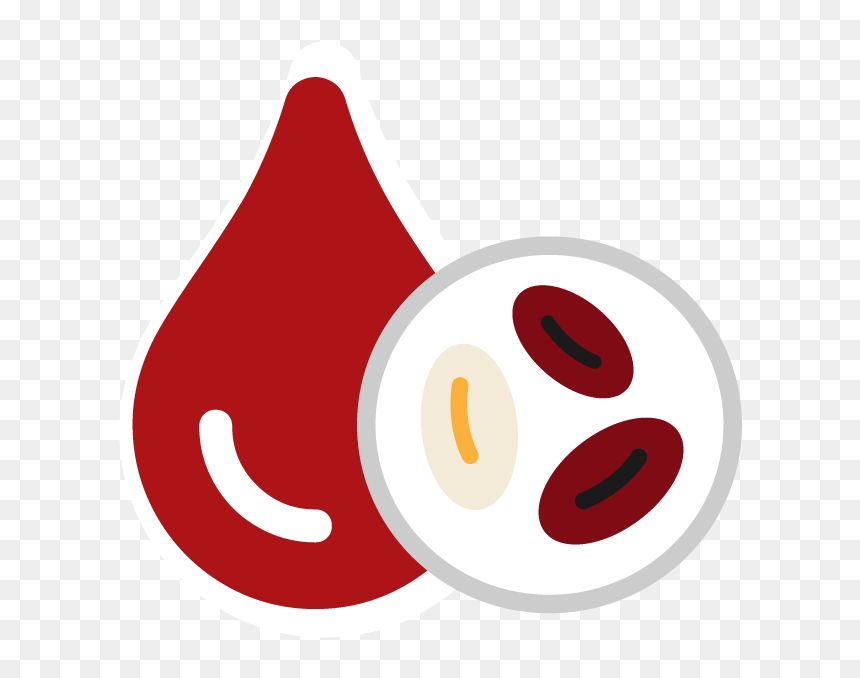 Illustration, HD Png Download - red blood cells png