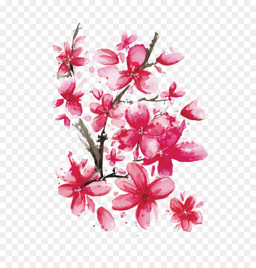 Сакура Картинки, HD Png Download - sakura branch png