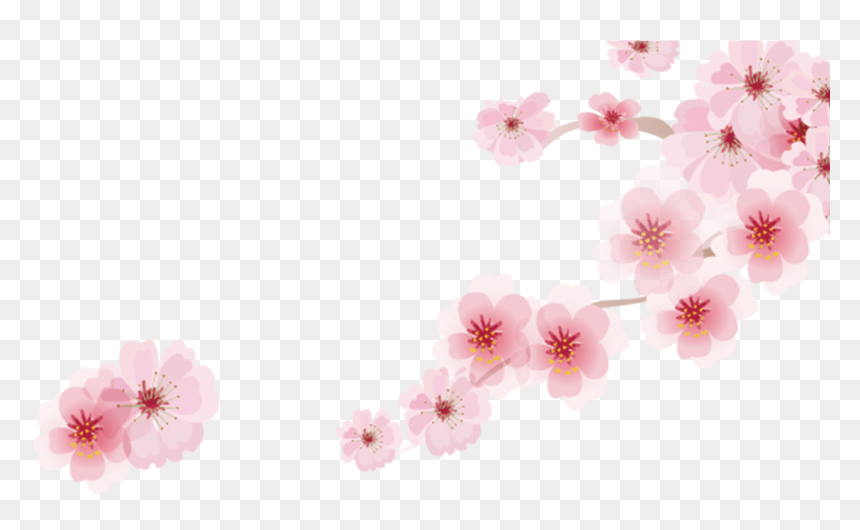 Sakura Cartoon Png, Transparent Png - sakura branch png