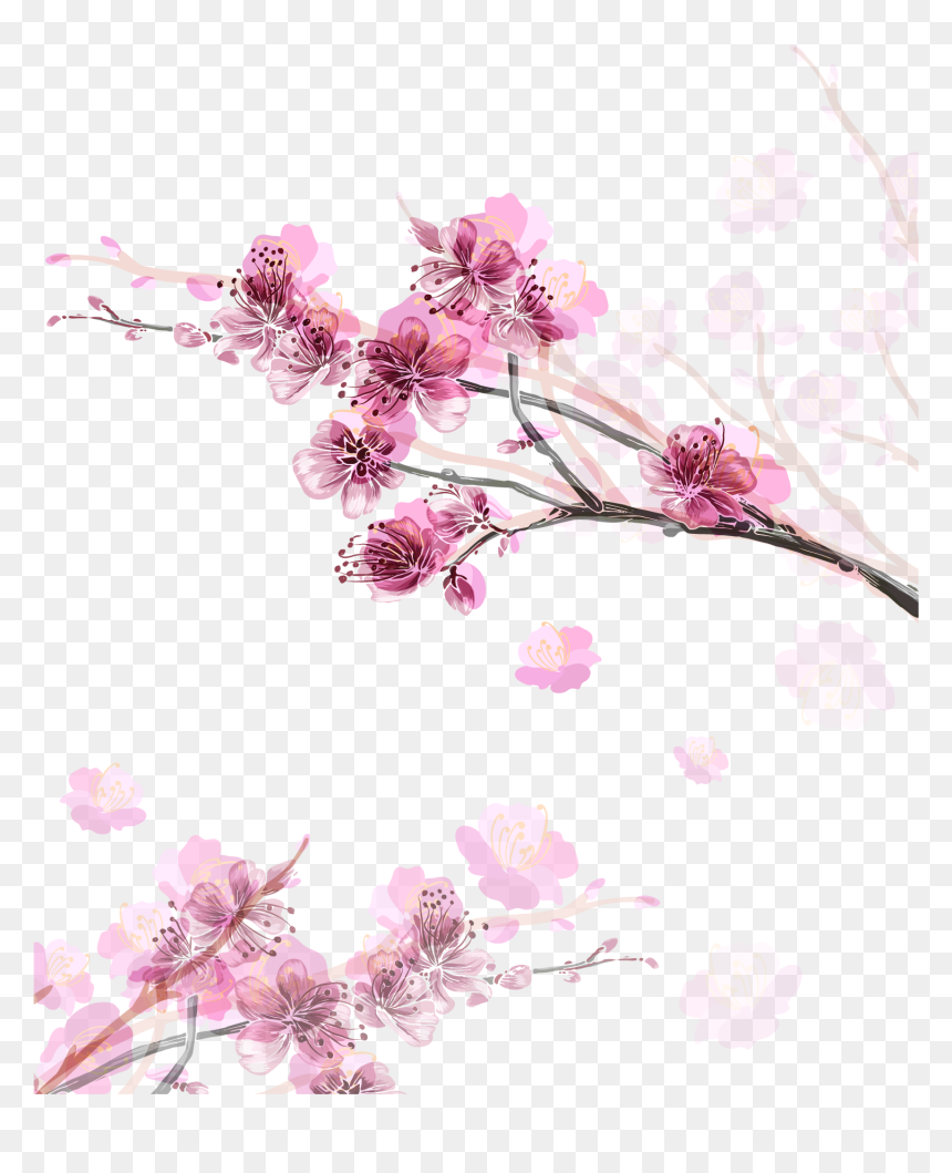Arbol De Durazno Dibujo, HD Png Download - sakura branch png