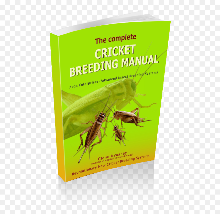 Substrate Breeding System Small Scale Production, HD Png Download - crickets png