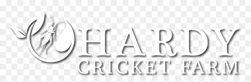 Graphics, HD Png Download - crickets png