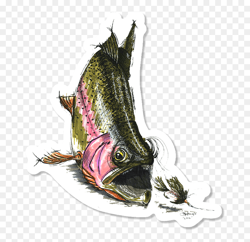 Illustration, HD Png Download - rainbow trout png