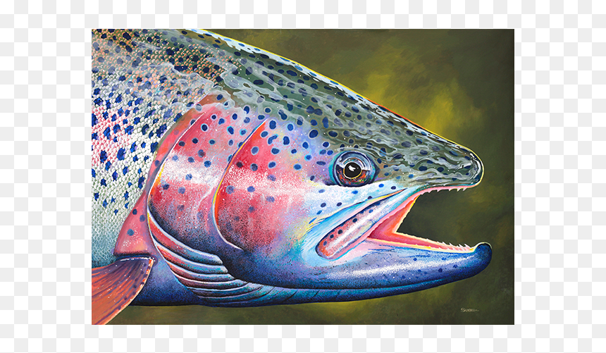Rainbow Trout Head, HD Png Download - rainbow trout png