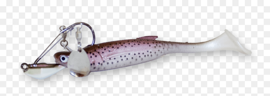 Trout, HD Png Download - rainbow trout png