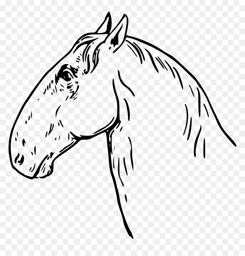 Caballo Cabeza De Carnero, HD Png Download - ram head png