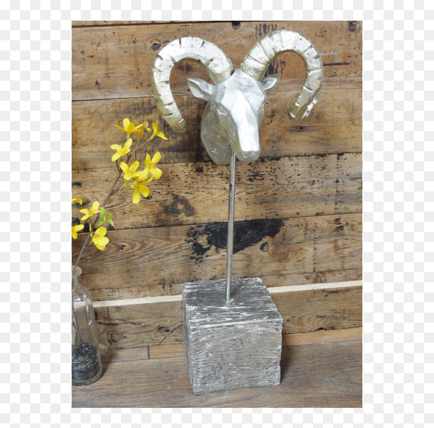 Bighorn, HD Png Download - ram head png