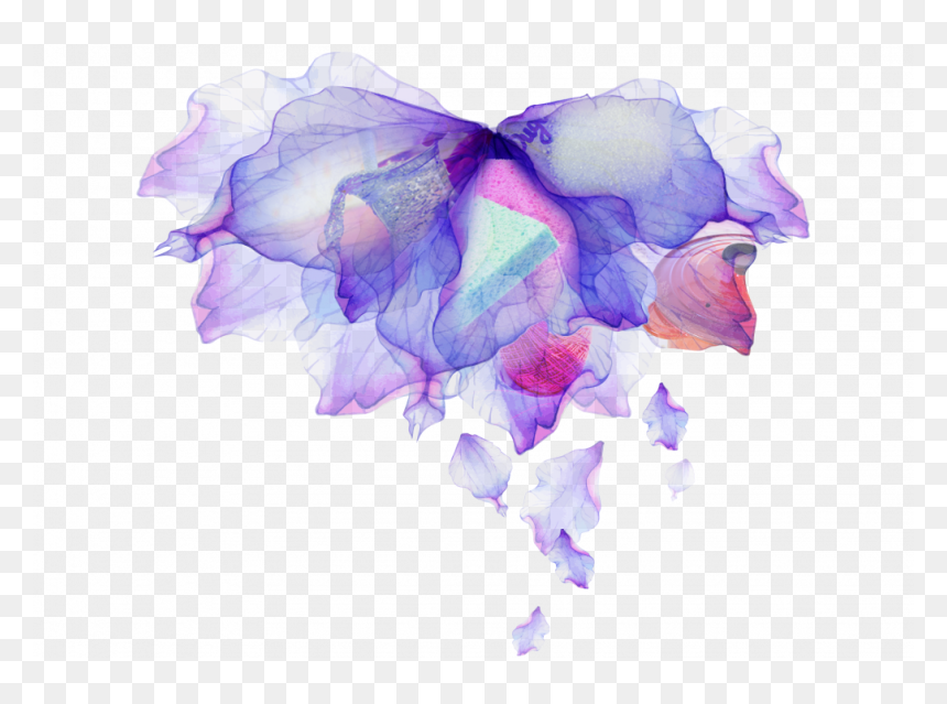 Iris, HD Png Download - falling flowers png