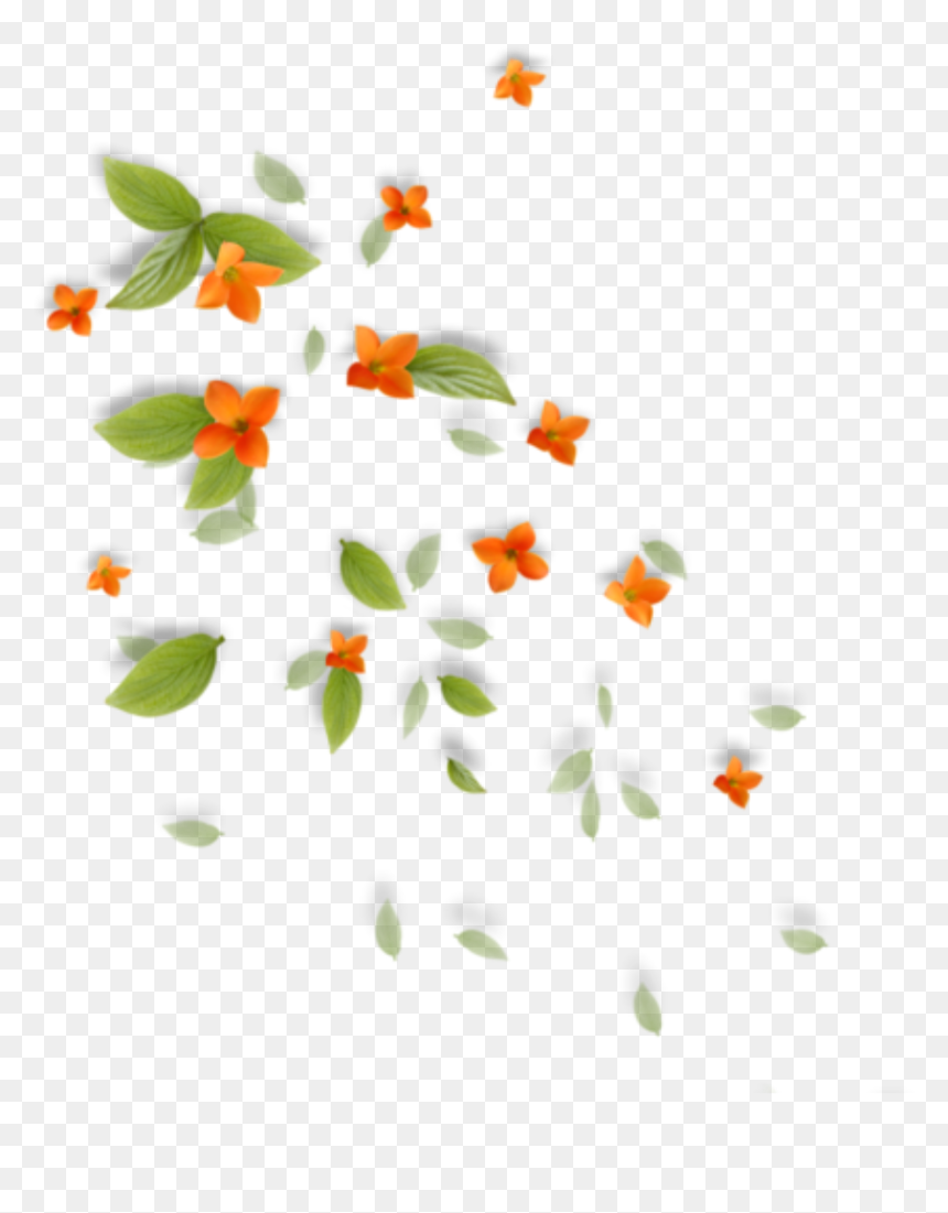 หัว เชื้อ วิตามิน ซี ทา ผิว, HD Png Download - falling flowers png