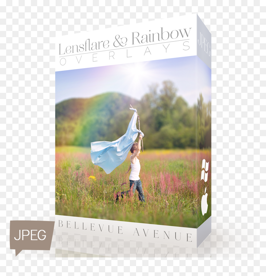 Field, HD Png Download - rainbow lens flare png