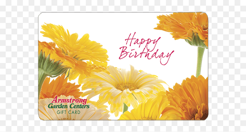 Birthday Gift Png, Transparent Png - birthday gift png