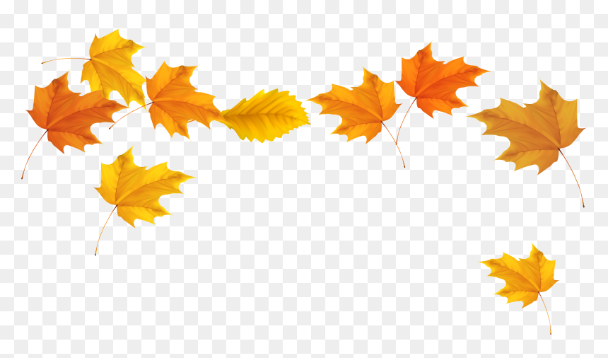 Autumn Leaves Transparent Png, Png Download - fall leaves transparent png