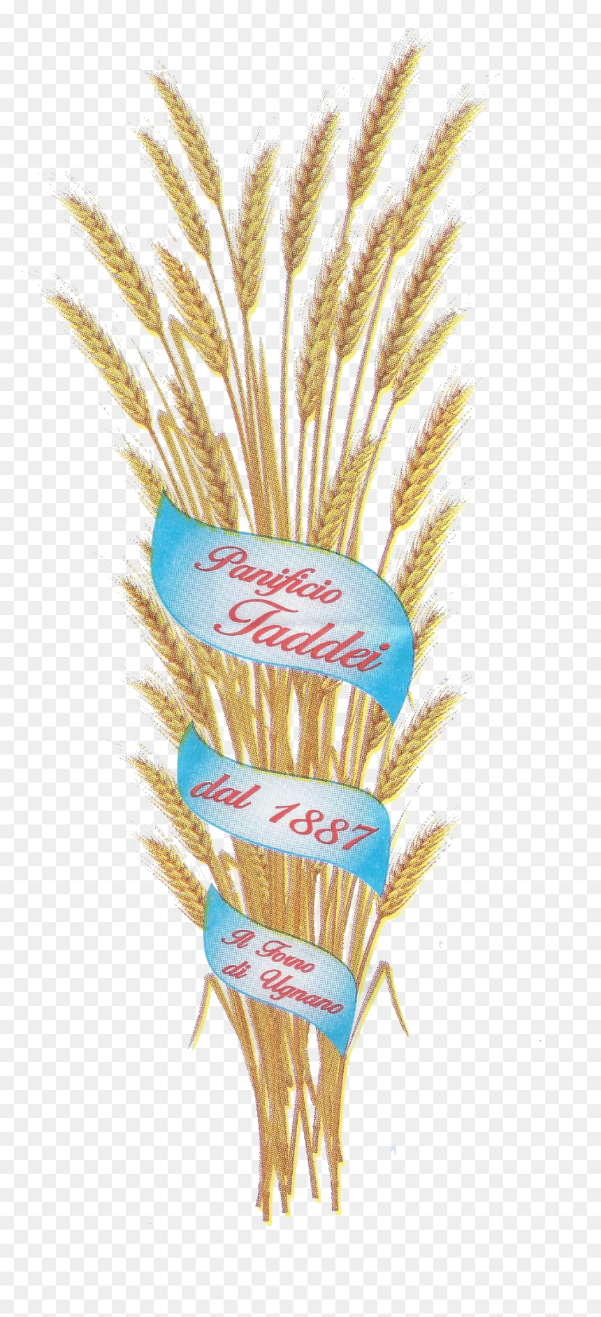 Einkorn Wheat, HD Png Download - grocery store png