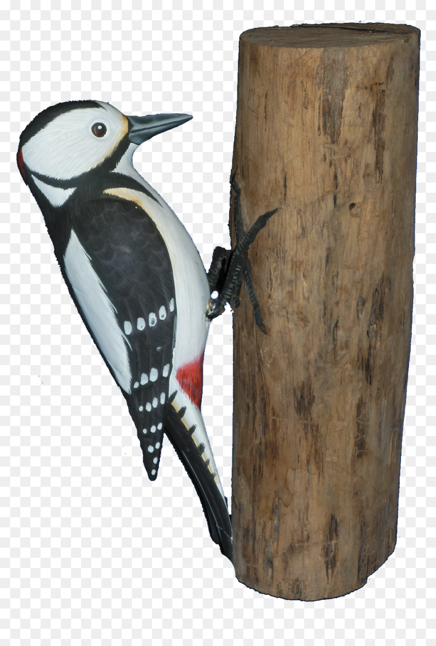 Leuconotopicus, HD Png Download - woodpecker png
