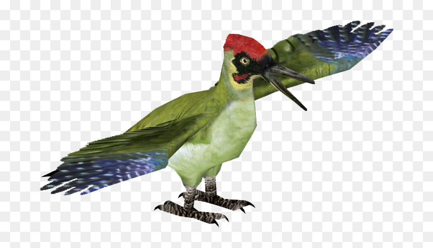 Green Woodpecker Png, Transparent Png - woodpecker png