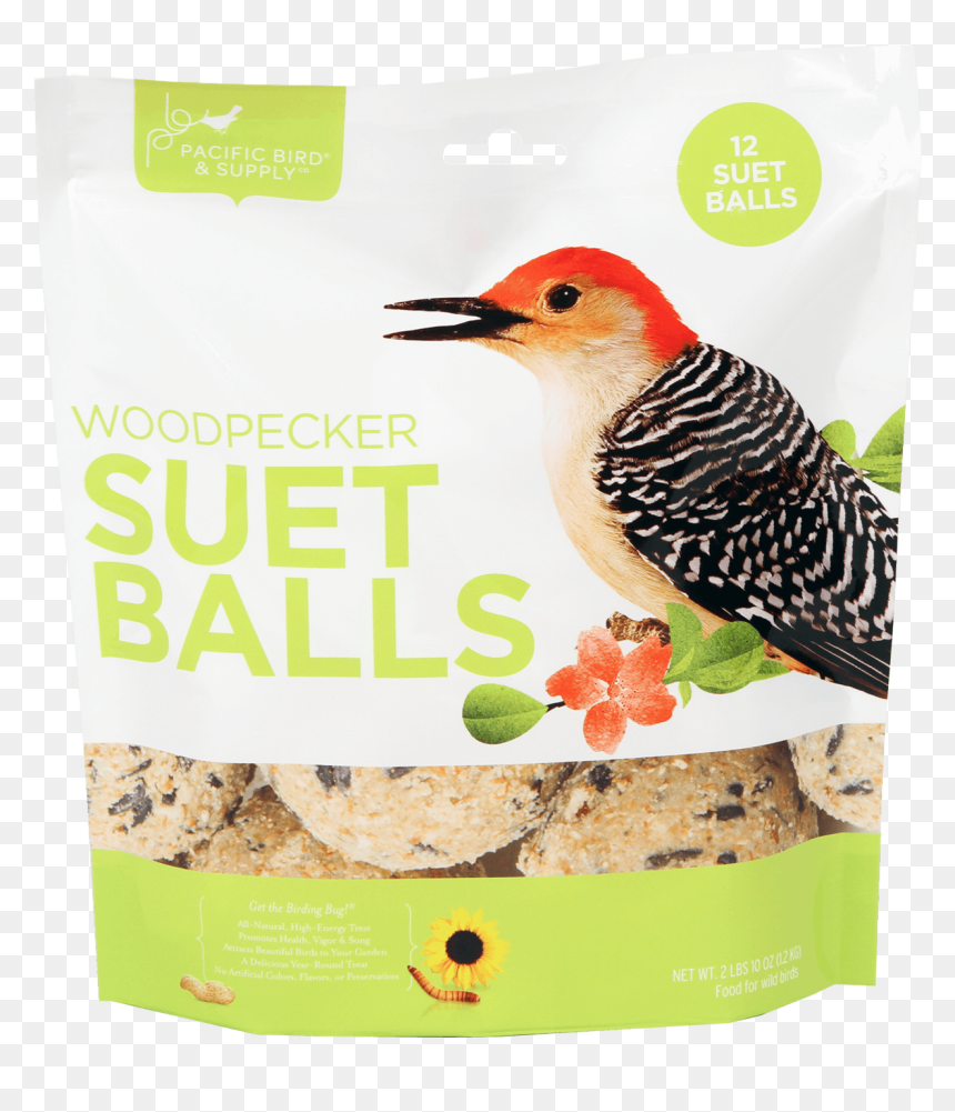 Red Bellied Woodpecker, HD Png Download - woodpecker png