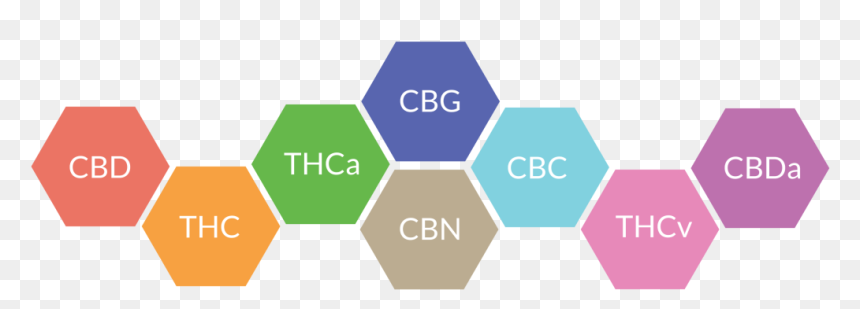 Entourage Effect Cannabis, HD Png Download - kermit sipping tea png