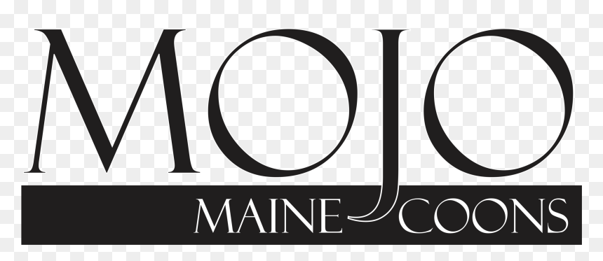 Gente John C Maxwell, HD Png Download - maine outline png