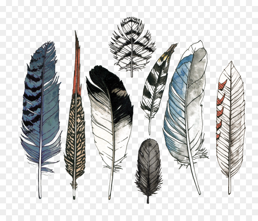 Water Color Feather, HD Png Download - feather outline png