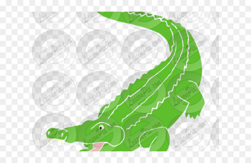 Clip Art, HD Png Download - alligator clipart png