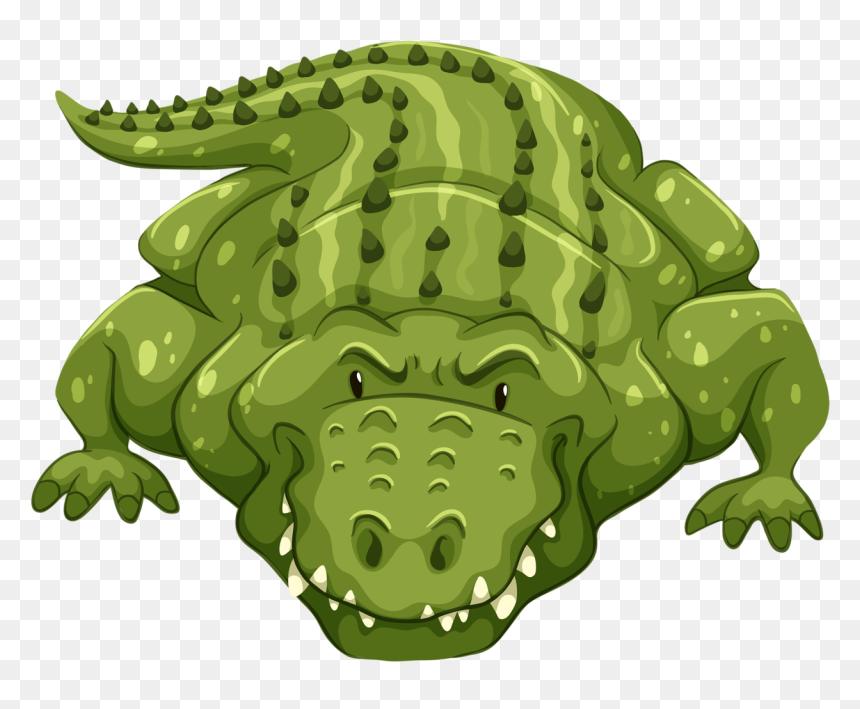 Crocodile Color, HD Png Download - alligator clipart png