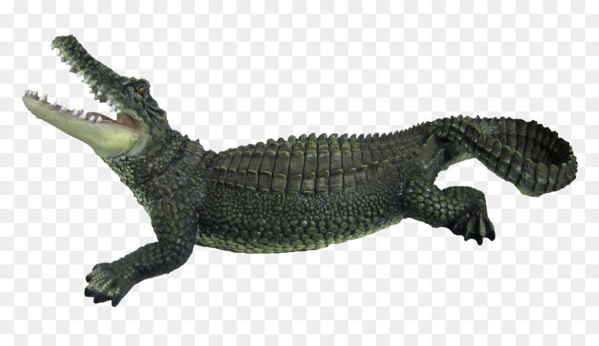 Crocodile Png, Transparent Png - alligator clipart png