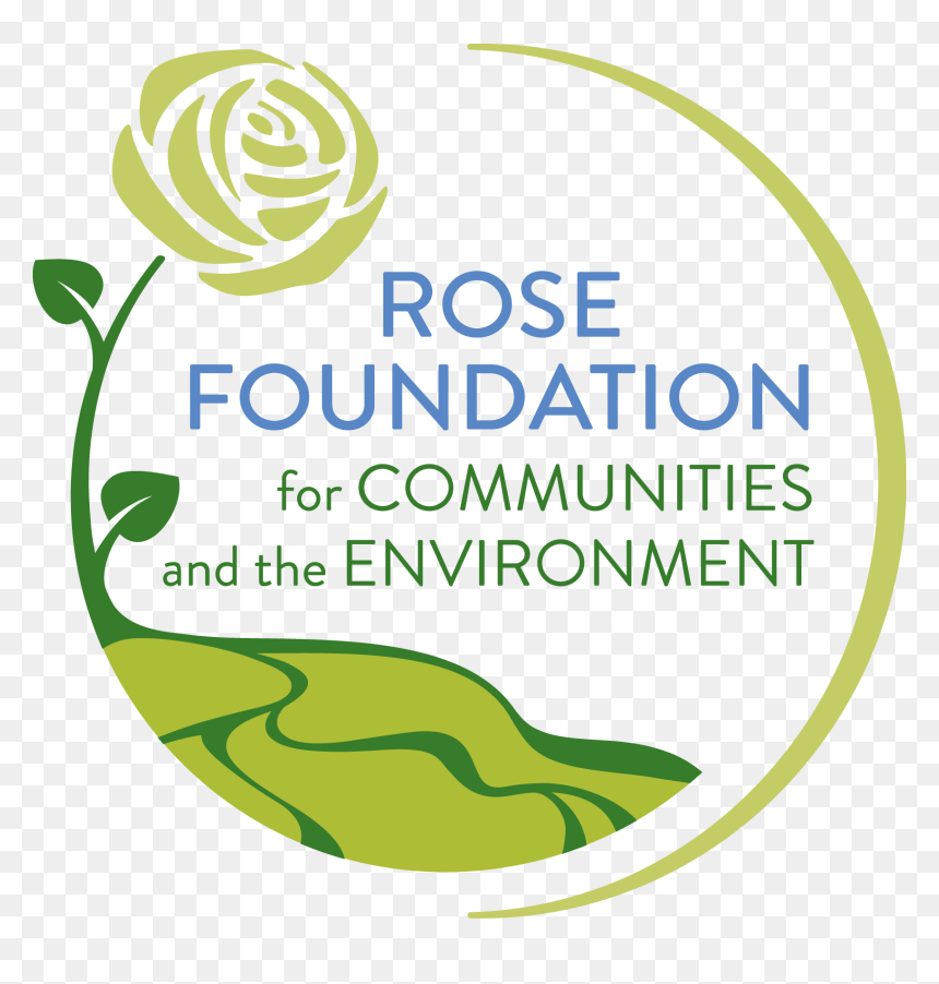 Rose Foundation, HD Png Download - rose logo png