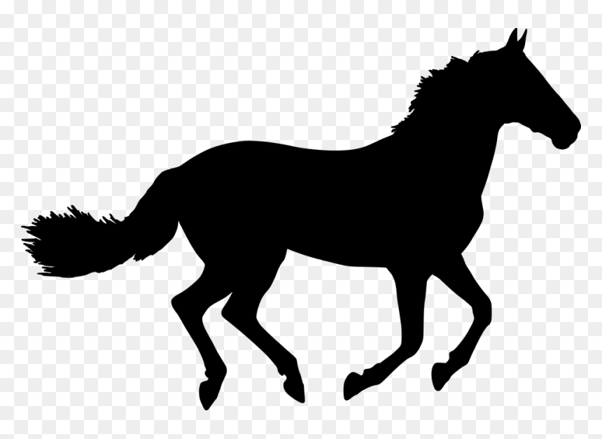Clip Art Horse Silhouette, HD Png Download - alligator silhouette png