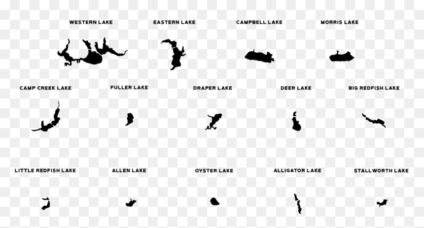 Silhouette, HD Png Download - alligator silhouette png