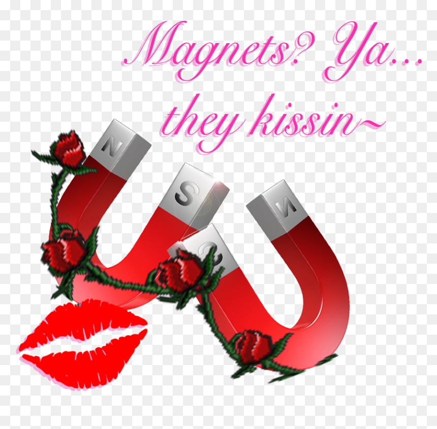 Greeting Card, HD Png Download - magnets png