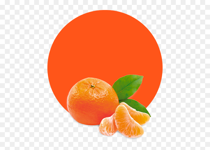 Mandarin Orange, HD Png Download - clementine png