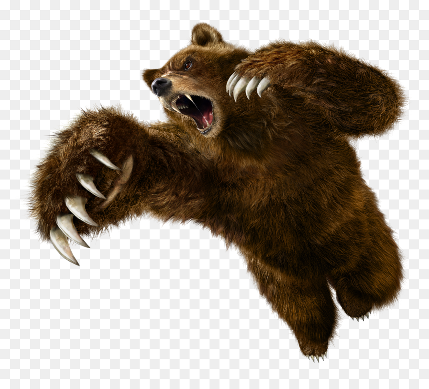 Tekken 6 Kuma, HD Png Download - png renders