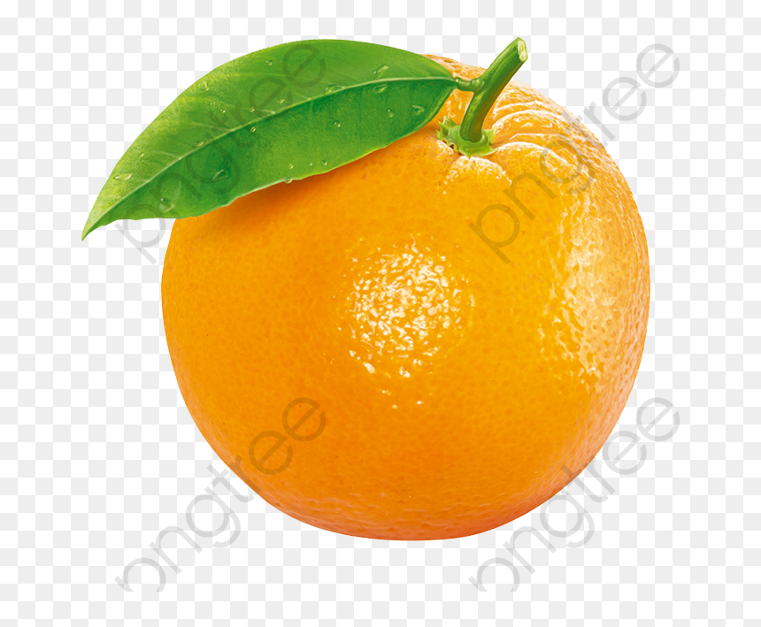 Orange Fruit, HD Png Download - clementine png