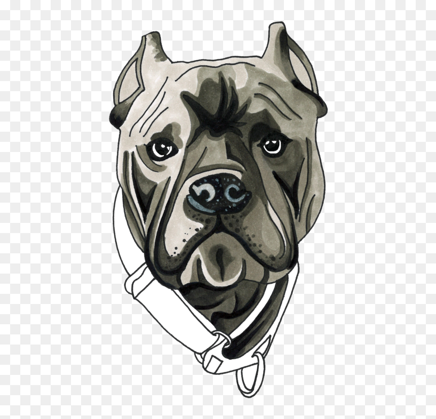 Canis Panther, HD Png Download - baloo png