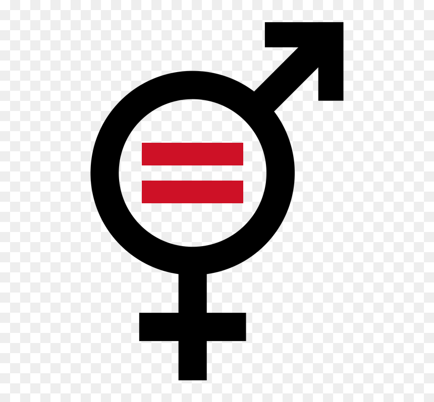 Feminismo De La Igualdad, HD Png Download - red cross icon png