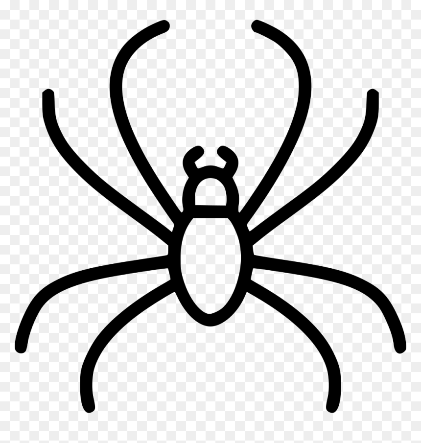 Insect, HD Png Download - png spider web