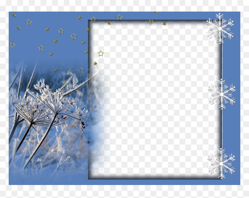 Twig, HD Png Download - winter frame png